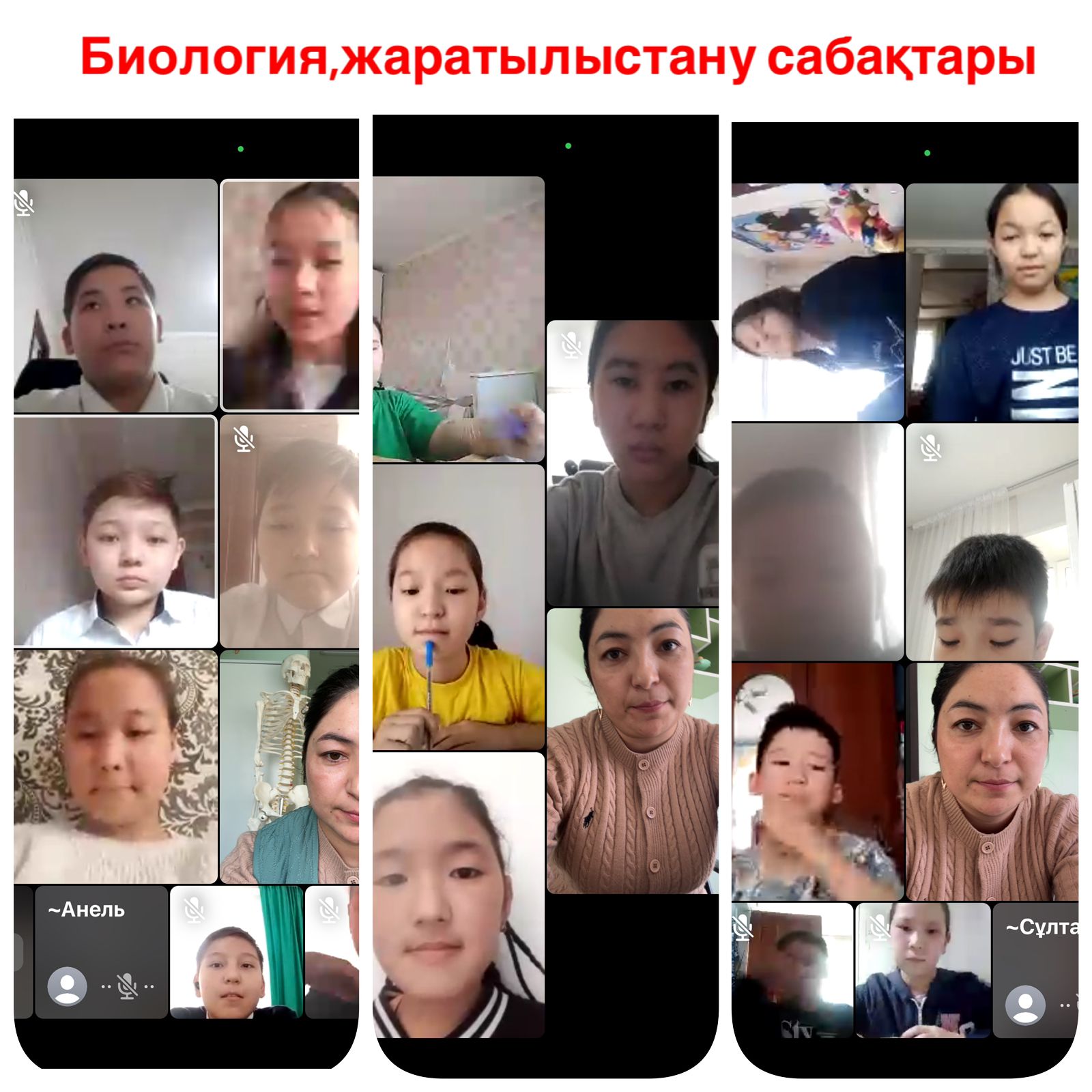 Қашықтықтан оқыту кезіндегі химия, биология, география, жаратылыстану пәндері бойынша өткізілген сабақтар